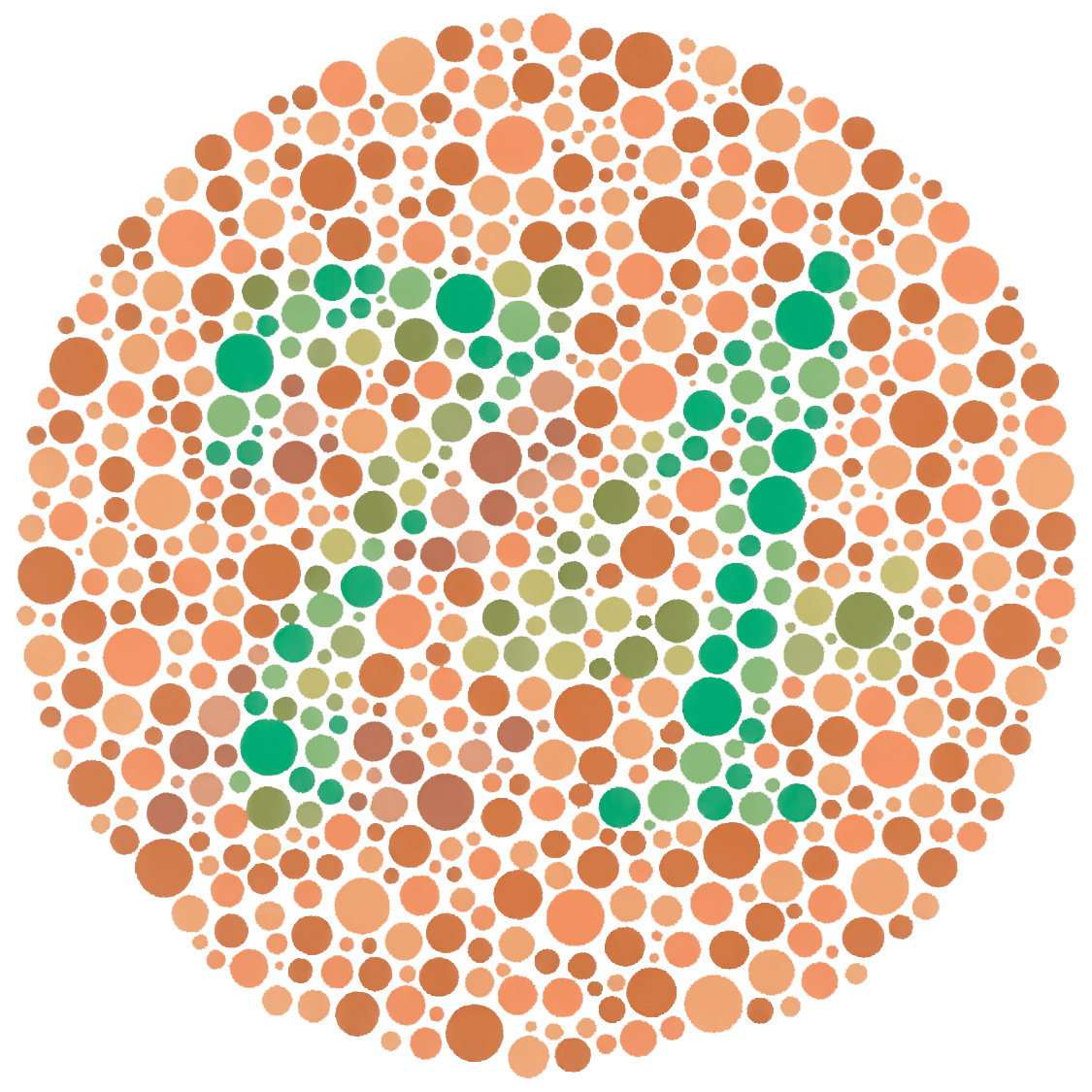 Ishihara Test for Color Blindness