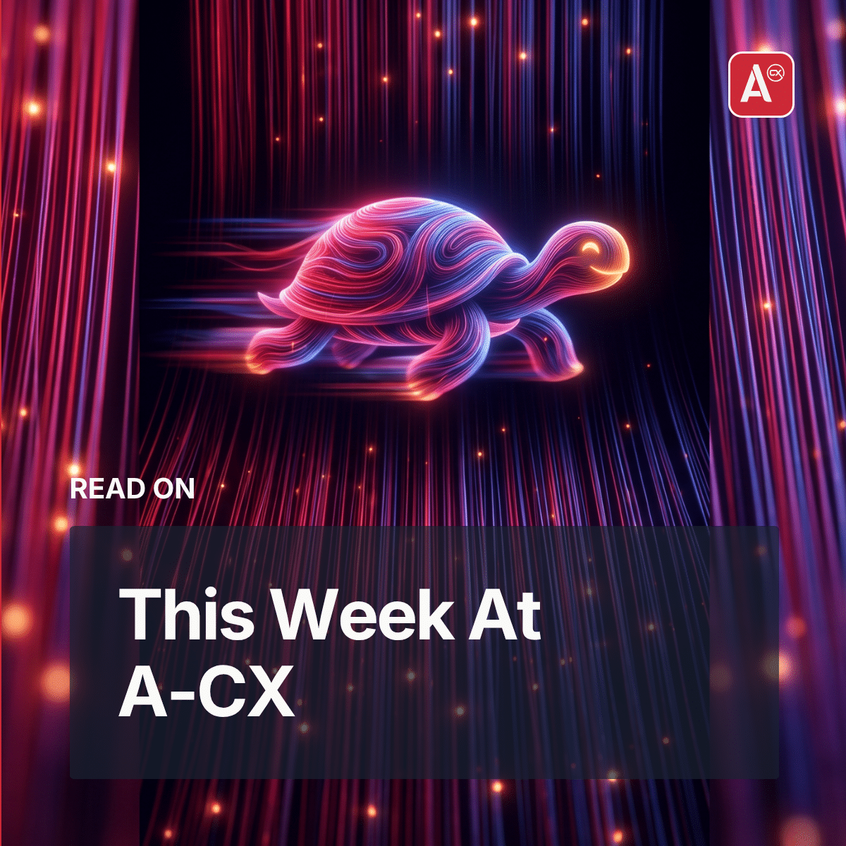 This Week At A-CX Turtle